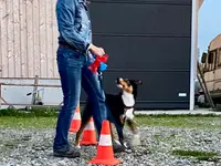 4happypets.ch, Inhaberin Schön