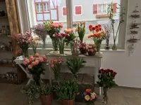 härzenssach gmbh