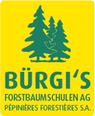 Bürgi's Forstbaumschulen AG-Logo