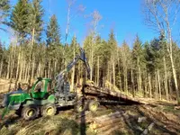Passion Forêt SA