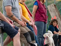 HDZ Hundezentrum - Klicken Sie, um das Bild 6 in einer Lightbox vergrössert darzustellen