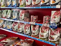 Qua la Zampa di Alessia Milani Termini