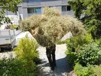 Sommer Gartenbau GmbH
