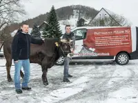 Partyservice Müller AG