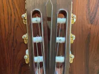 Guitarrista