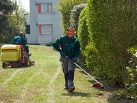 Brodmann Dienstleistungen GmbH