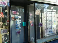 Meister Immobilien-Treuhand