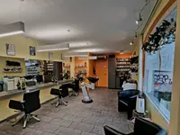 Coiffeur fine arts