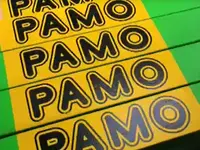 Pamo Ponteggi SA