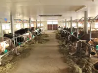 Ferme des Trontières Randogne
