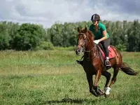 Erlebnisreiten - Klicken Sie, um das Bild 5 in einer Lightbox vergrössert darzustellen