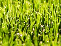 GROGG GARTENBAU