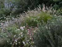 Salathé Rentzel Gartenkultur AG - Klicken Sie, um das Bild 2 in einer Lightbox vergrössert darzustellen