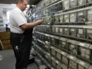 Elektro Flückiger + Frei Ehrendingen AG