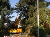 Gebrüder Straumann AG - Klicken Sie, um das Bild 11 in einer Lightbox vergrössert darzustellen