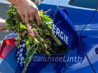 SwissFarmerPower Inwil AG