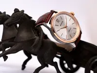 MonVis Lugano Watches