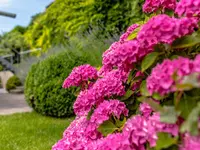 Fürst Jardins Riviera SA
