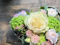 Calonder Blumen