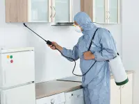 Art-Clean Reinigung GmbH