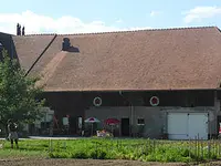 Le Marché des Chandines