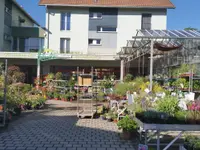 hollenstein blumengarten ag-Blumenshop-Gärtnerei-Gartenbau-Unterhalt-Grabpflege