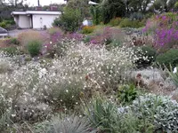Signer Gartenpflege