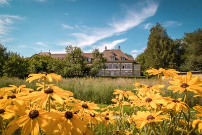 Stiftung Humanus-Haus