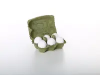 Propac AG