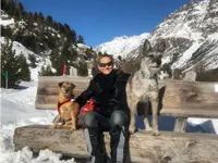 4-Pfoten Coaching Nicole Pirola