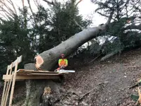 Entreprise forestière Daniel Ruch SA