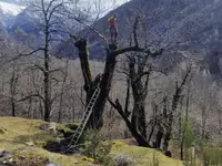 RIZOMA SAGL - Klicken Sie, um das Bild 4 in einer Lightbox vergrössert darzustellen