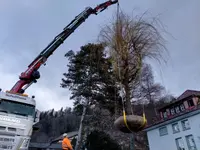 Garten Ideal GmbH