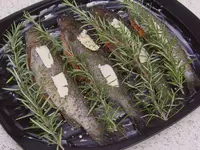 Pisciculture du Gottéron