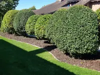Dober Märchy Gartenpflege GmbH