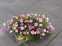 Les fleurs d'Alena
