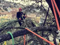 EQUILIBRE SOINS AUX ARBRES - Klicken Sie, um das Bild 10 in einer Lightbox vergrössert darzustellen