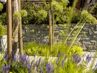 Popp Gartenbau AG