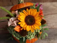Blumen Specker