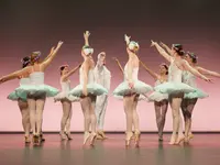 Verein TDC dance company & school