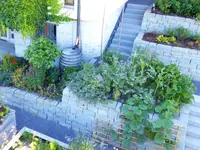 Vanzo Garten