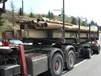 Zimmermann P. Transporte GmbH