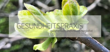 Gesundheitspraxis Alvita Thusis