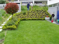 Schelb Gartenbau AG - Klicken Sie, um das Bild 2 in einer Lightbox vergrössert darzustellen