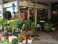 Blumen Eichenberger Horgen