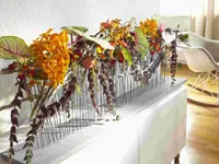 Blumen Pfister
