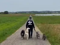 Focus Dogs Hundeschule KlG - Klicken Sie, um das Bild 1 in einer Lightbox vergrössert darzustellen