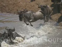 A + M Africa Tours GmbH