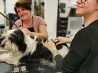 Magie Animale, Marie-Lucie Tenaglia