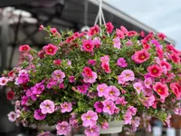 Blumen Kaspar AG